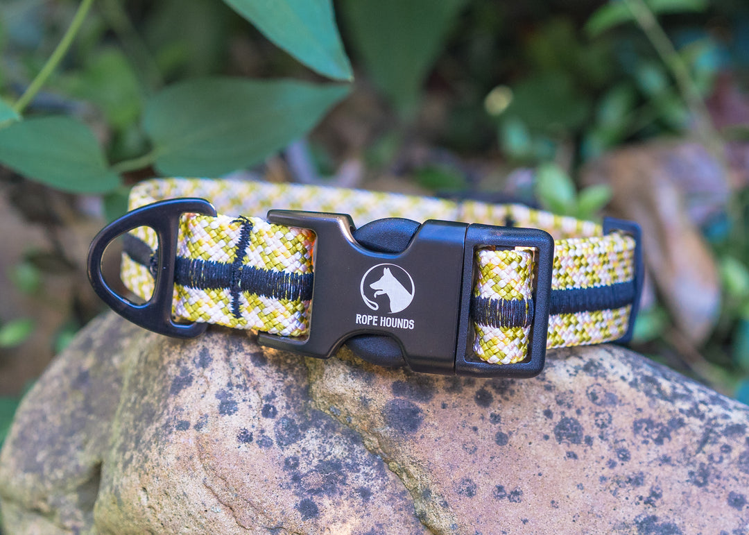 Fi Compatible Collar Band - Greens/Yellows