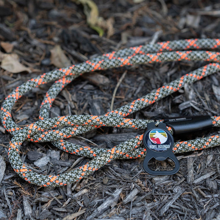 OCTOBER LEASH SPECIAL: Hidden Embers