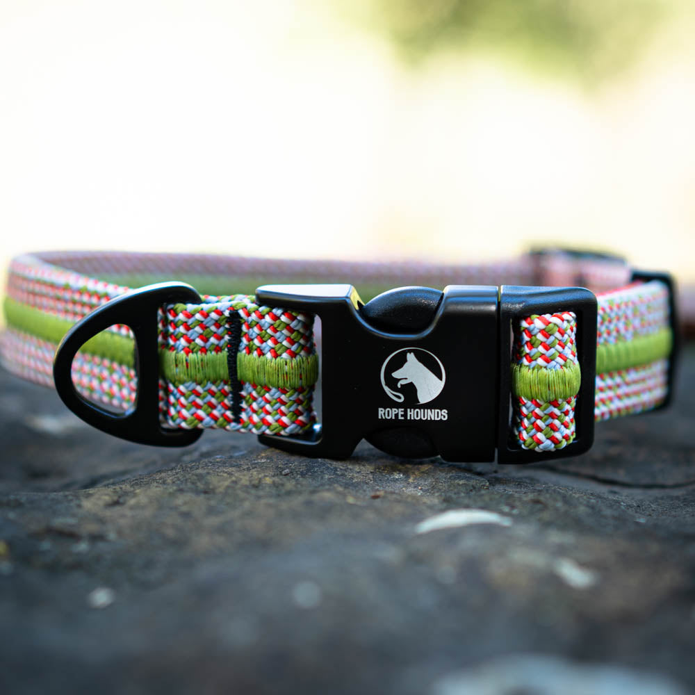 Great Quality Custom Cute Cool Boy Puppy Dog Collars for Large