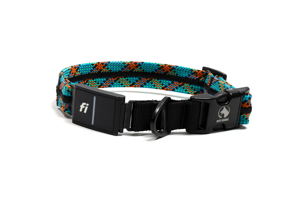 INLINE Fi Compatible Collar Band for Fi Series 3