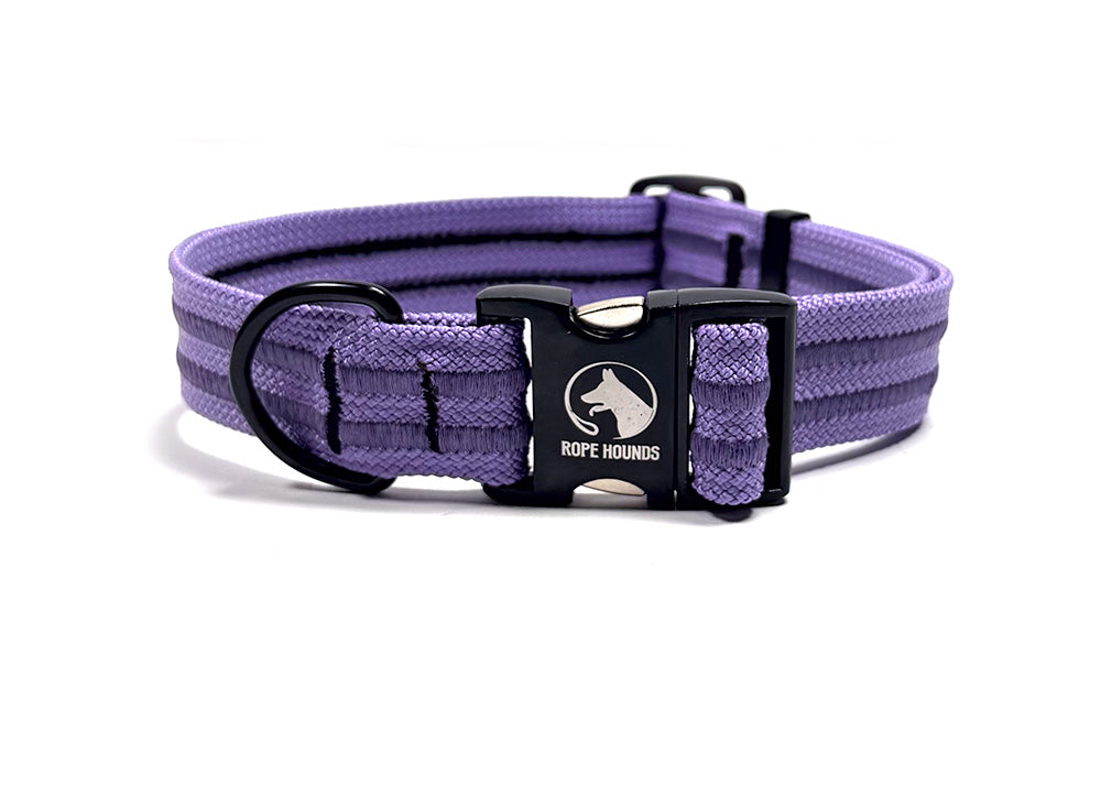 Wide Fi Compatible Collar Band - XL