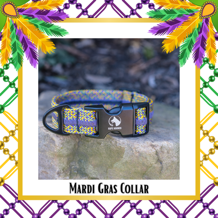 Mardi Gras Adventure Collar - LIMITED RELEASE