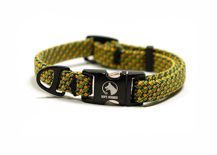 SALE - Adventure Dog Collar