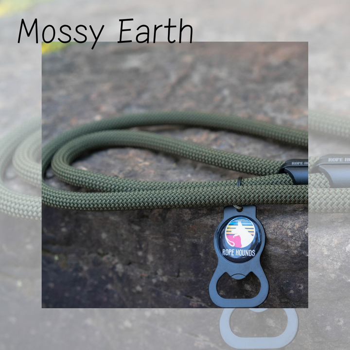 SEPTEMBER LEASH SPECIAL: Mossy Earth