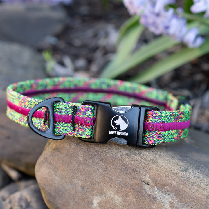 Neon Jungle Fi Compatible Collar - SPRING RELEASE