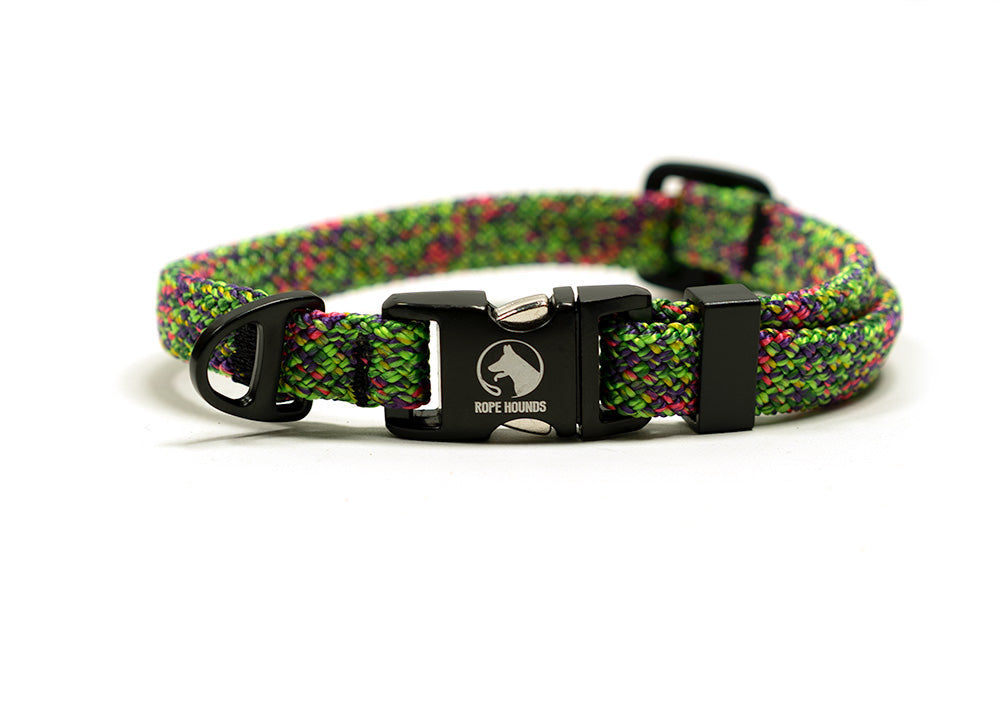 SALE - Adventure Dog Collar