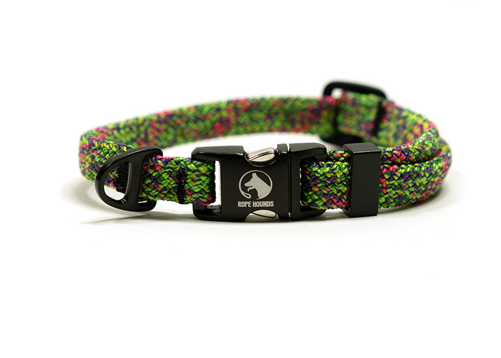 SALE - Adventure Dog Collar