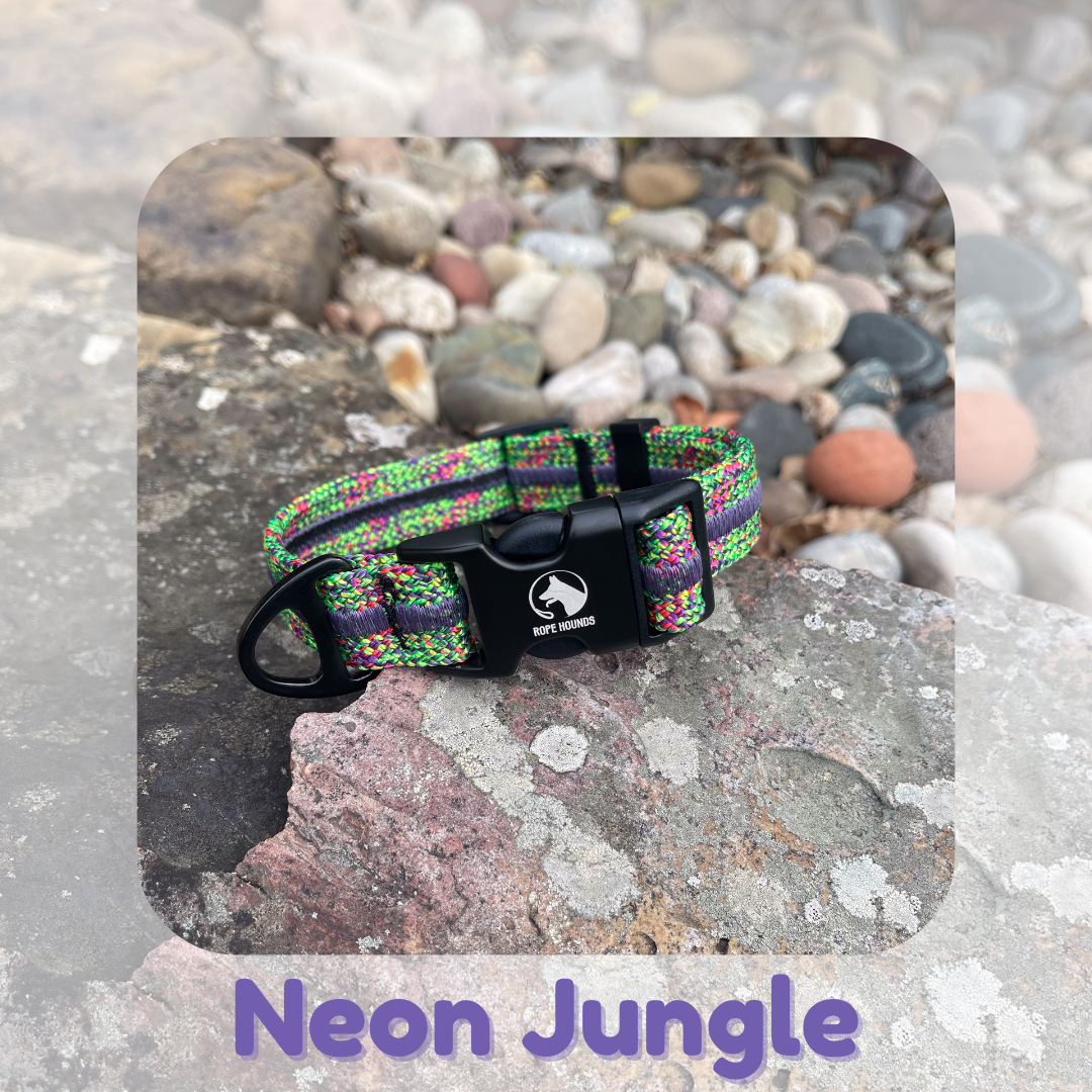 Neon Jungle Fi Compatible Collar - SPRING RELEASE