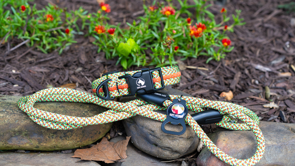 Rope Hounds: Dog Gear Made for Adventure