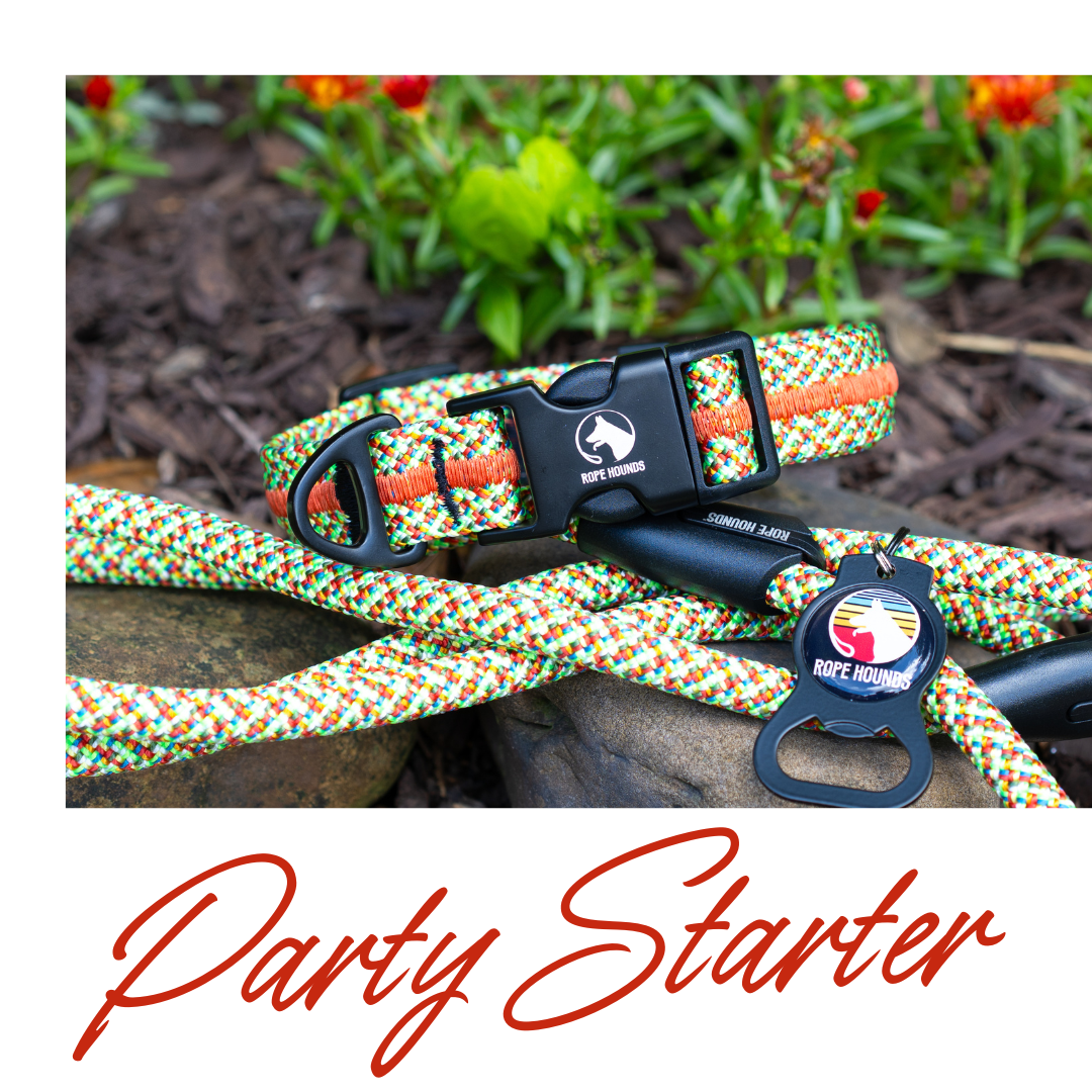 Party Starter Adventure Collar - SUMMER RELEASE