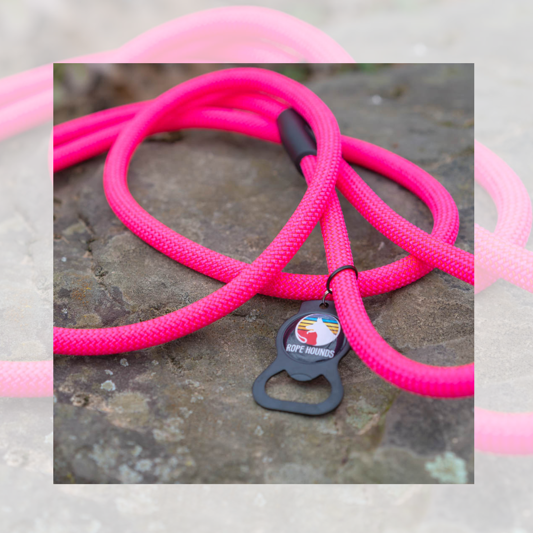 FEBRUARY LEASH SPECIAL: Pink Panther