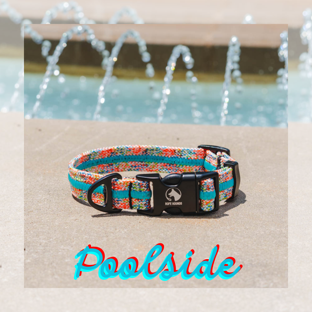 POOLSIDE Adventure Collar SUMMER LIMITED EDITION Rope Hounds