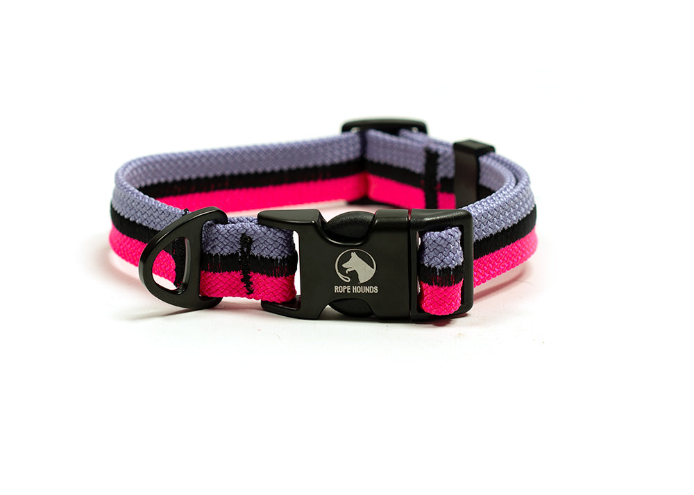 Fi Compatible Collar Band - Pinks/Purples