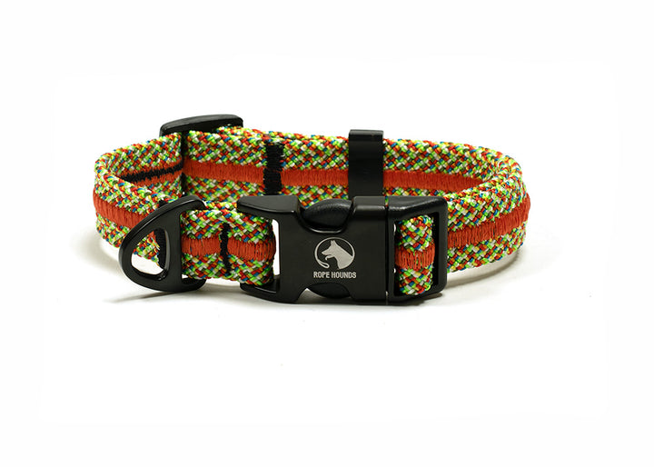 Party Starter Adventure Collar - SUMMER RELEASE