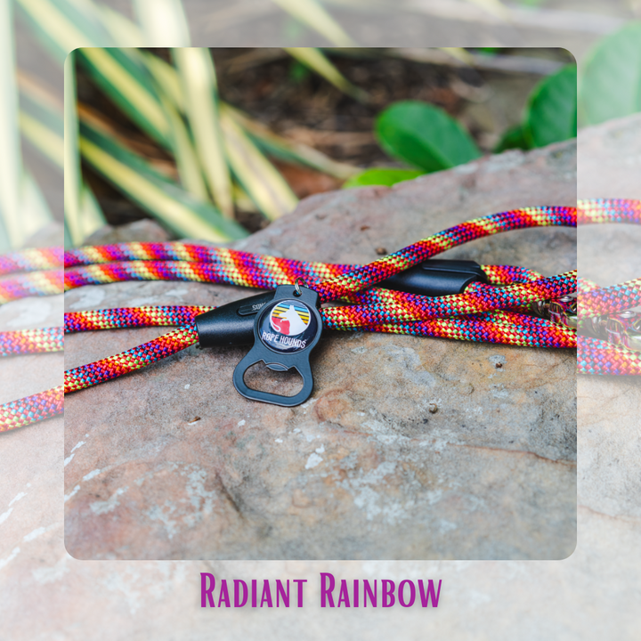 JUNE LEASH SPECIAL: Radiant Rainbow