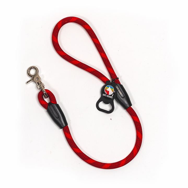 SALE 2' Dog Traffic Lead