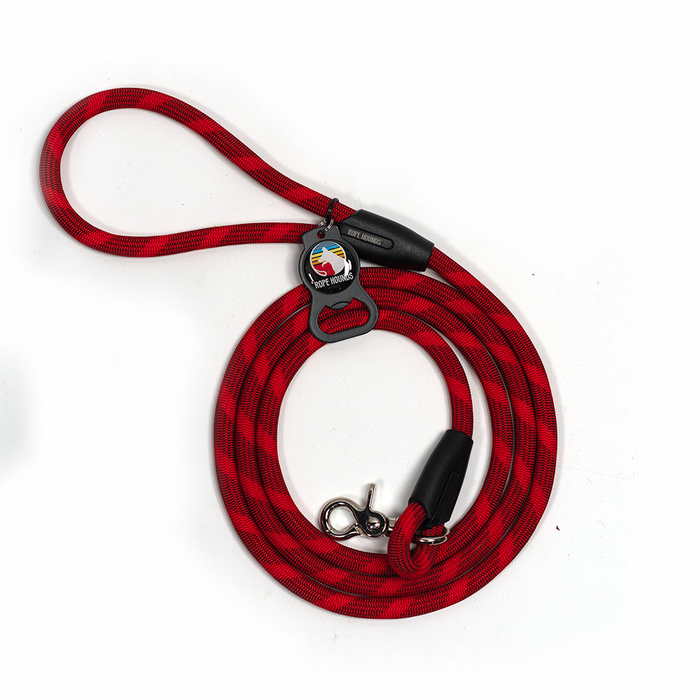 SALE Classic Leash