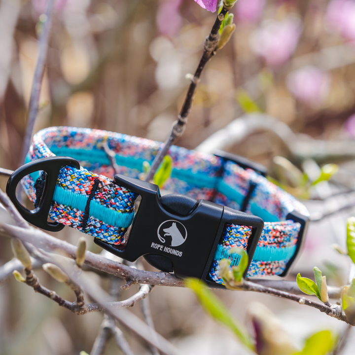 Adventure Dog Collar - Multicolor