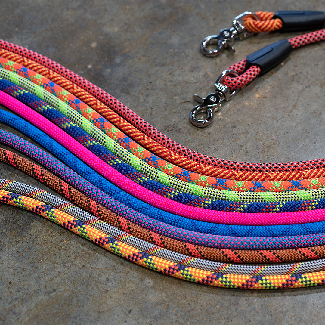 Climbing rope outlet dog leashes