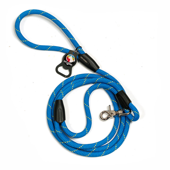 SALE Urban Handle Dog Leash