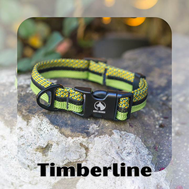 Timberline - FALL RELEASE