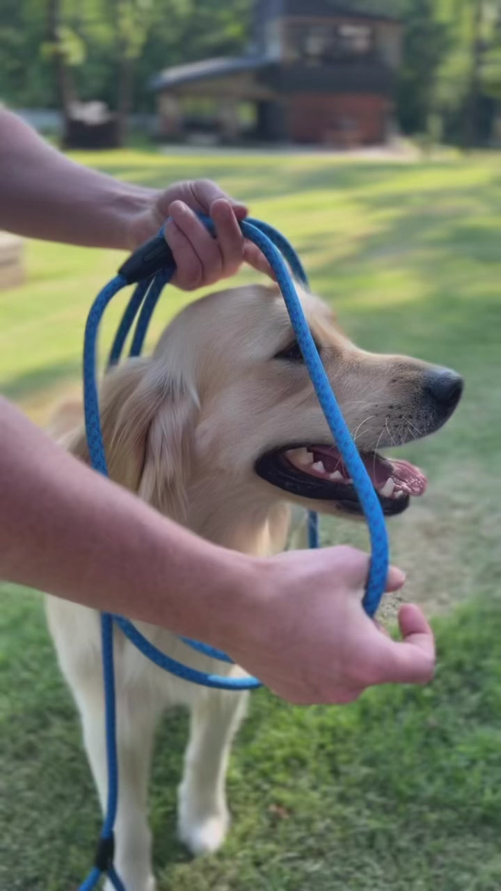 Rope Dog Harness