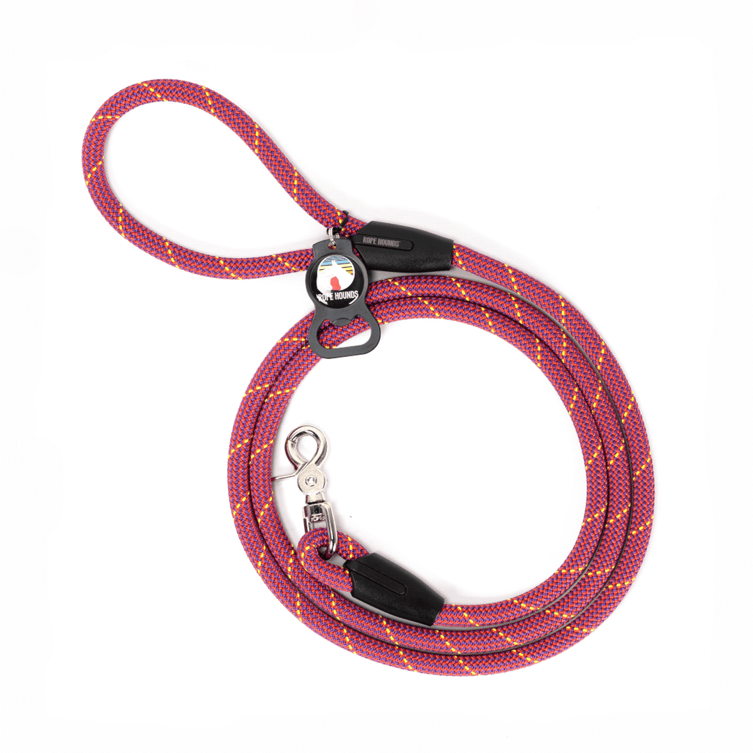 6ft dog leash deals