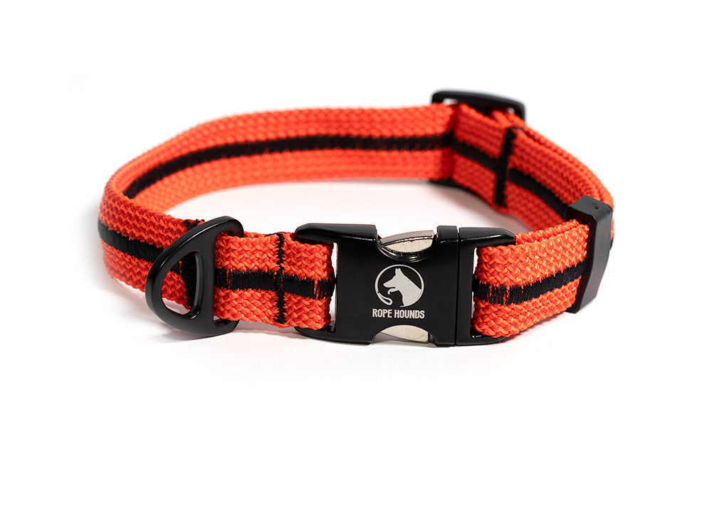 Adventure Dog Collar - Oranges