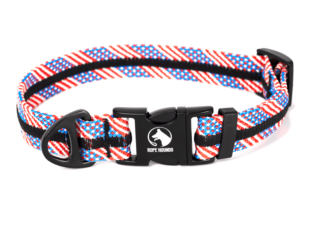 Hoonigan dog deals collar