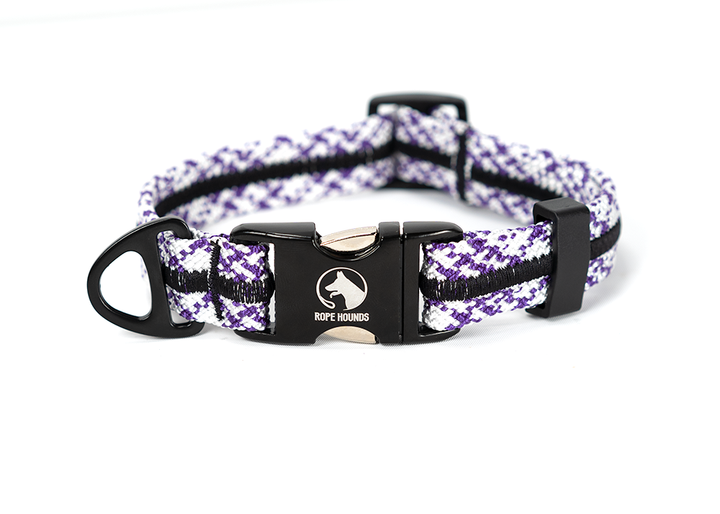 SALE - Fi Series 2 Collar
